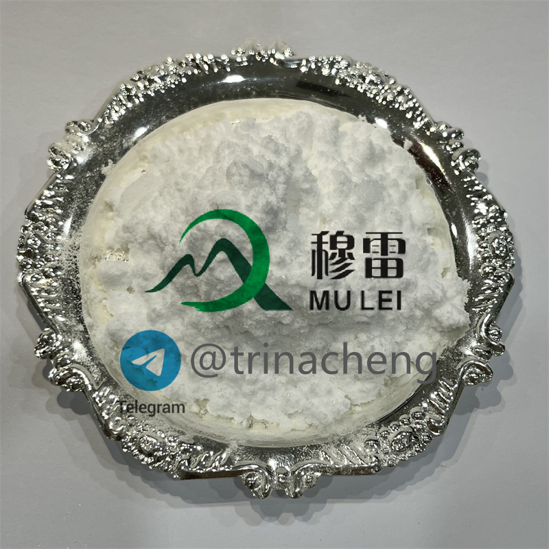 Methylamine HCl / Methylamine hydrochloride CAS 593-51-1 China Supplier