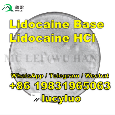 European Market, Buy 99.9% Pure Anesthetic Lidocaine / Lidocaine HCl Powder with Safe Clearence