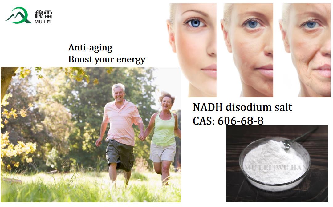 Factory Supply Beta-Nadh Disodium Salt/Beta-Nicotinamide Adenine Dinucleotide Disodium Salt CAS 606-68-8 with Best Pice
