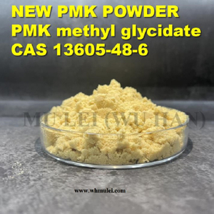 PMK Methyl Glycidate New Pmk Oil Pmk Powder CAS 13605-48-6 / 28578-16-7 To Neitherlands with Safe Customs