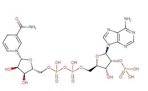 β-NADPH TETRASODIUM SALT CAS: 2646-71-1
