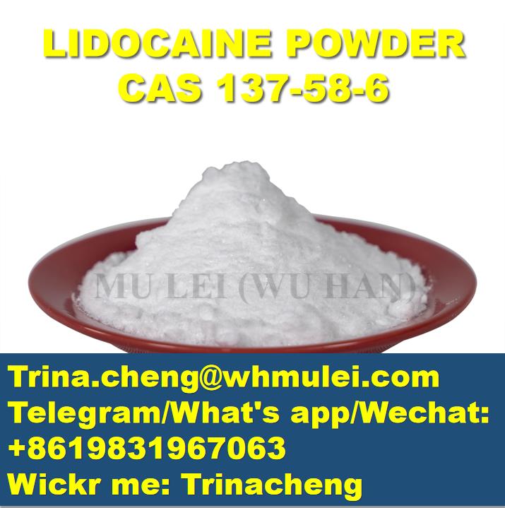 Bulk Sale High Purity Lidocaine Powder with Factory Price To UK USA CANADA CAS 137-58-6